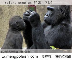 refort cmoplex 來世的未來相片