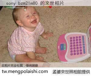 sony bzm21m80 來世的未來相片