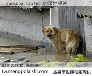 samsung tablet 來世的未來相片