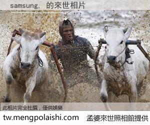 samsung, 來世的未來相片