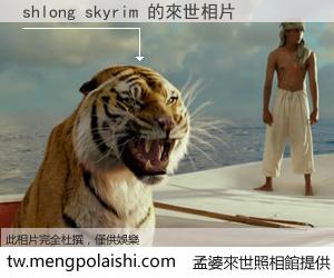 shlong skyrim 來世的未來相片