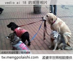 vedio ai 18 來世的未來相片