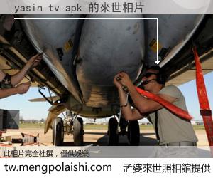 yasin tv apk 來世的未來相片