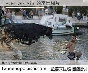 yuen yuk yin 來世的未來相片