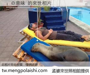 ；の意味 來世的未來相片