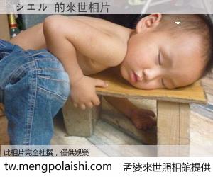 シエル 來世的未來相片