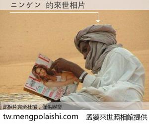 ニンゲン 來世的未來相片