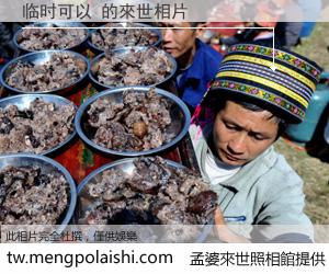 临时可以 來世的未來相片