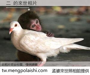 二 來世的未來相片