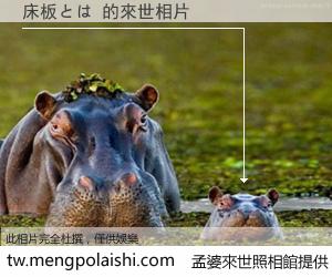 床板とは 來世的未來相片