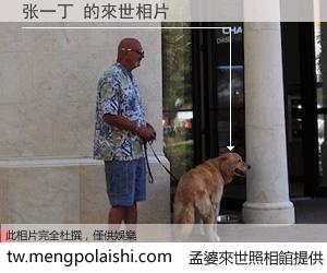 张一丁 來世的未來相片