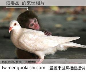 張姿品 來世的未來相片