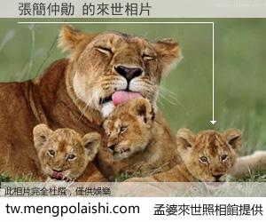 張簡仲勛 來世的未來相片