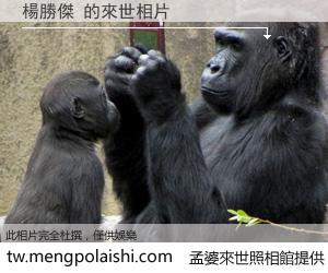 楊勝傑 來世的未來相片