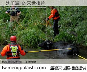 沈子耀 來世的未來相片