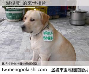 游俊彥 來世的未來相片