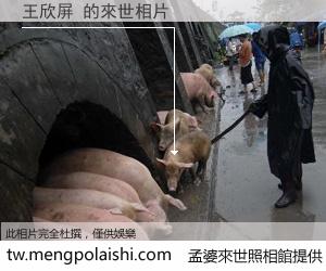 王欣屏 來世的未來相片