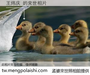 王炜庆 來世的未來相片