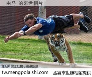 由马 來世的未來相片