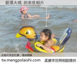 碧潭大橋 來世的未來相片