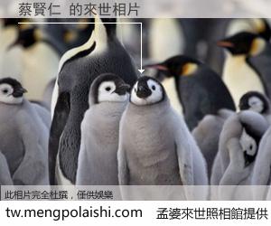 蔡賢仁 來世的未來相片