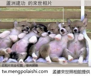 蘆洲建功 來世的未來相片