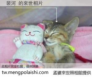 裴河 來世的未來相片