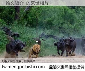 論文紹介 來世的未來相片