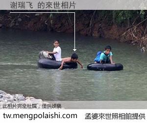 谢瑞飞 來世的未來相片