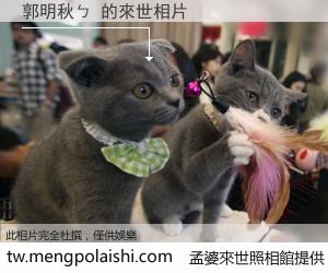 郭明秋ㄅ 來世的未來相片