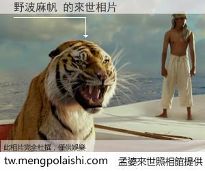 野波麻帆 來世的未來相片