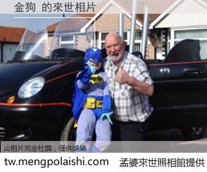 金狗 來世的未來相片