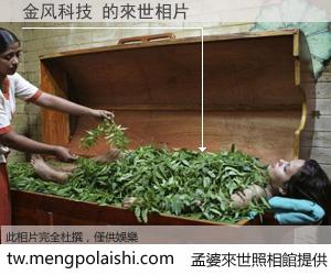 金风科技 來世的未來相片