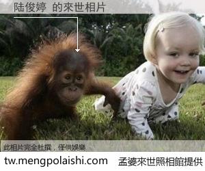 陆俊婷 來世的未來相片