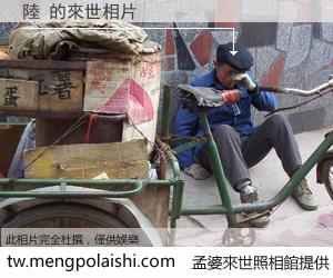 陸 來世的未來相片