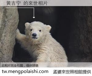 黄吉宁 來世的未來相片
