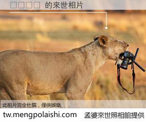 성조숙증 來世的未來相片