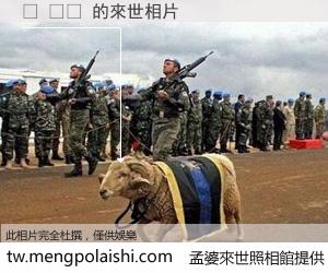 옷 판매 來世的未來相片