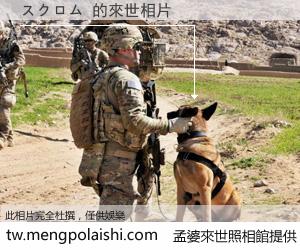 スクロム 來世的未來相片