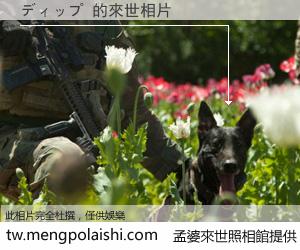 ディップ 來世的未來相片