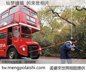 仙梦缠猿 來世的未來相片