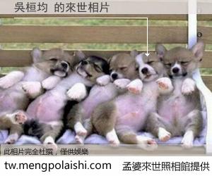 吳桓均 來世的未來相片