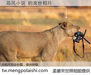 岛风小说 來世的未來相片