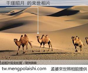 干瑾昭月 來世的未來相片