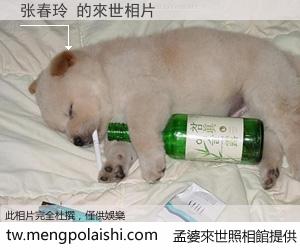 张春玲 來世的未來相片