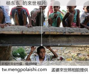 杨东东 來世的未來相片