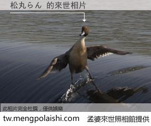 松丸らん 來世的未來相片