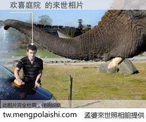 欢喜庭院 來世的未來相片