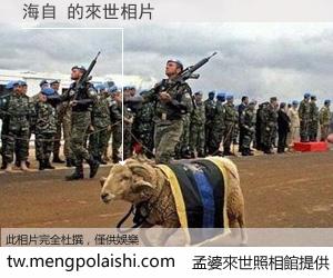 海自 來世的未來相片