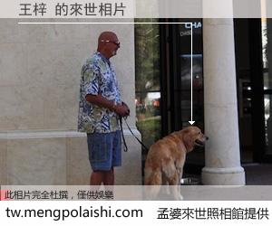 王梓 來世的未來相片